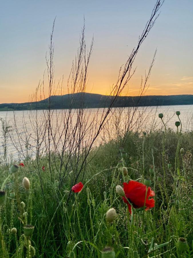 Caravans 10 Min To Tsonevo Lake & 35 Min To Black Sea 外观 照片