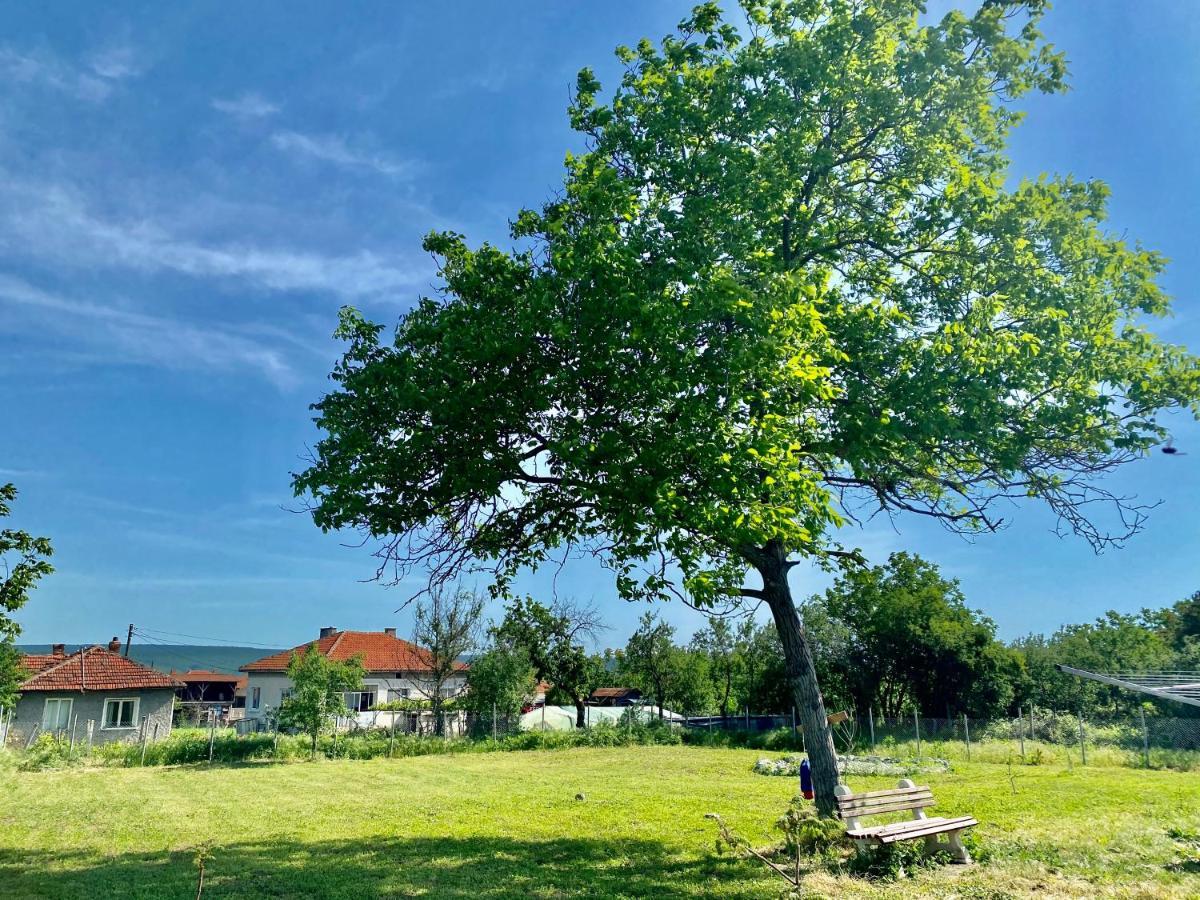 Caravans 10 Min To Tsonevo Lake & 35 Min To Black Sea 外观 照片