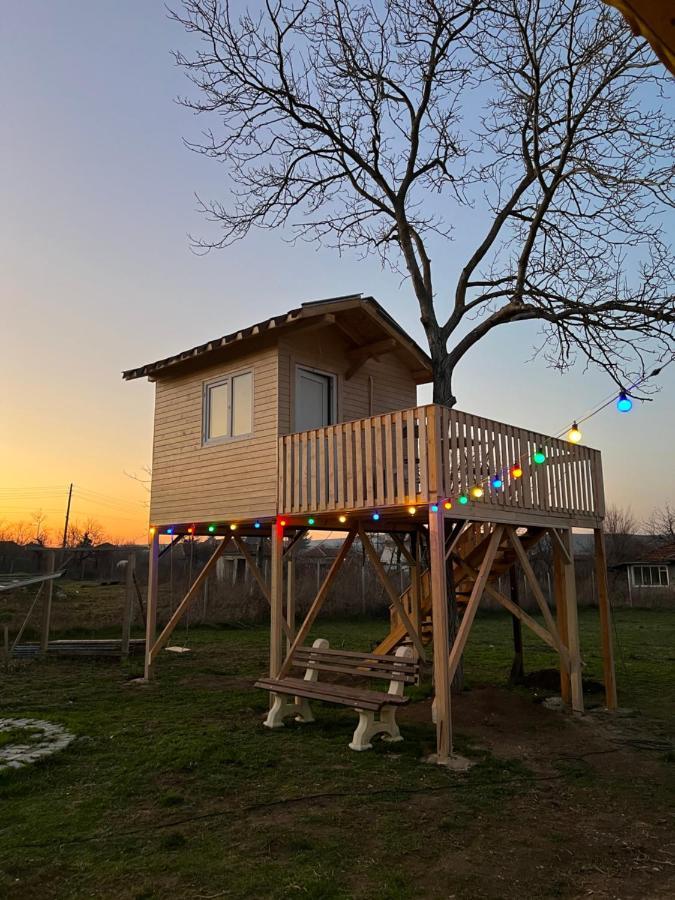 Caravans 10 Min To Tsonevo Lake & 35 Min To Black Sea 外观 照片